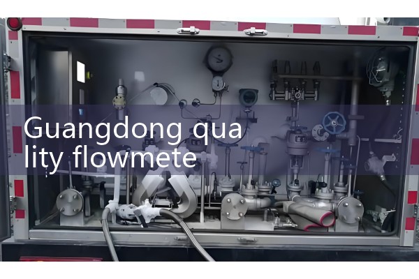Guangdong Quality Flow Meter Sales Manufacturer